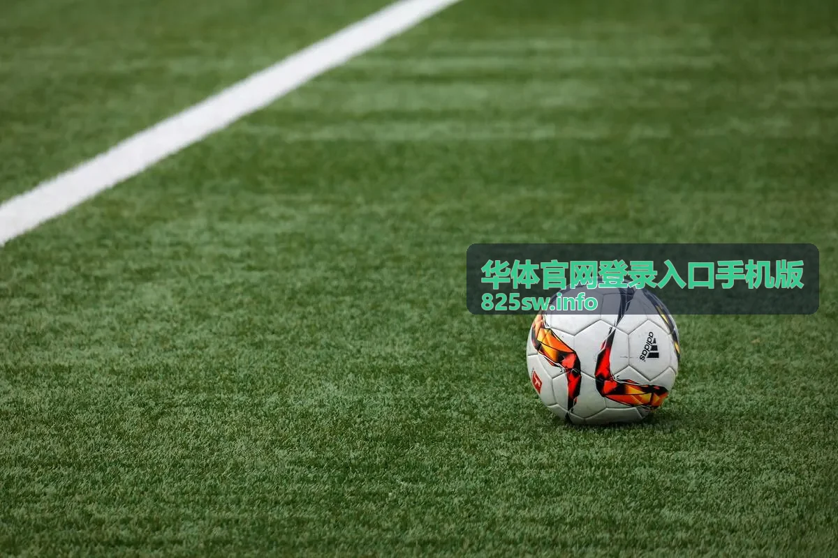 华体官网登录入口手机版的下载安装步骤示意图