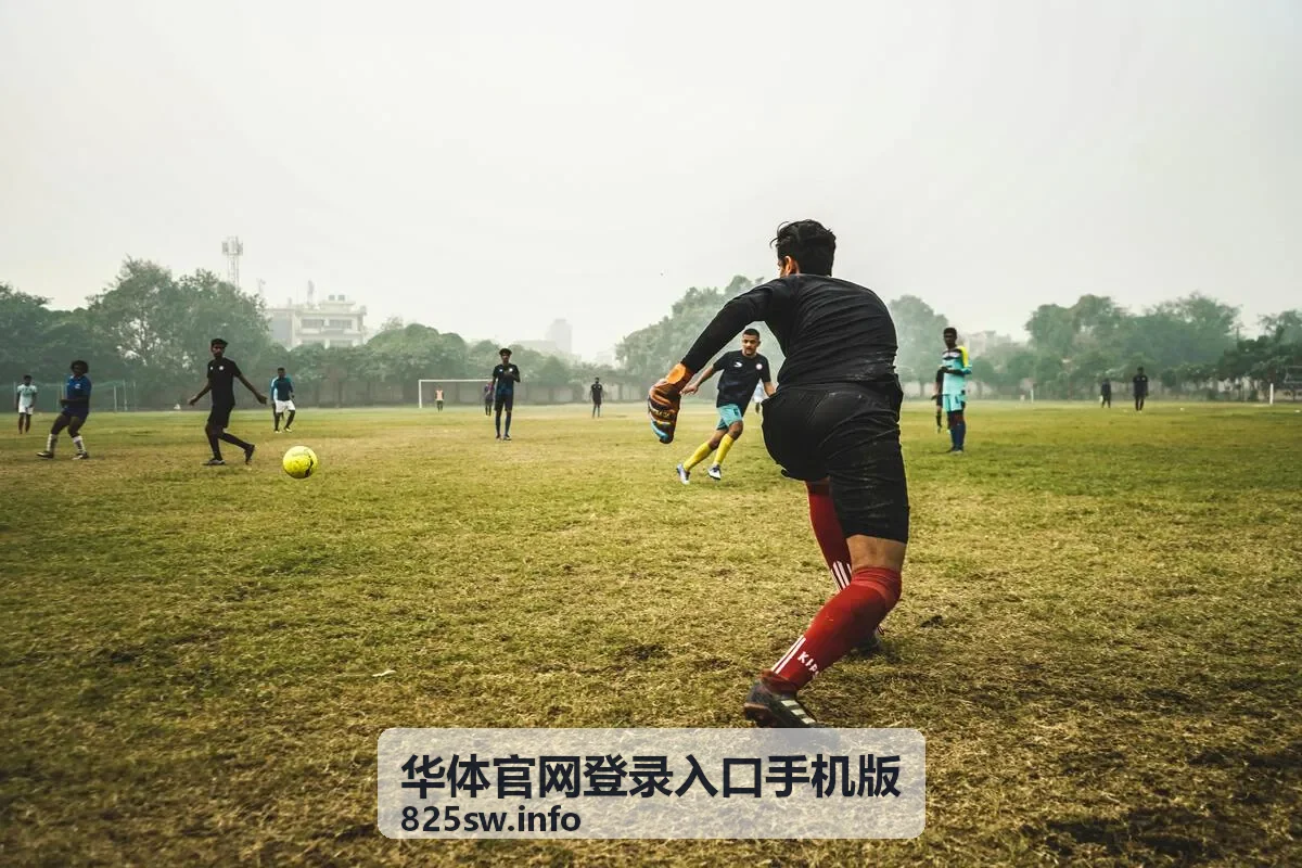 手机端下载与安装步骤说明配图