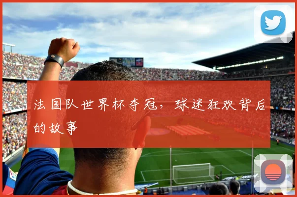 法国队世界杯夺冠，球迷狂欢背后的故事