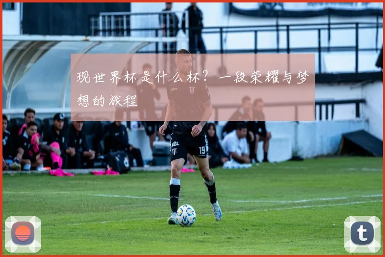现世界杯是什么杯？一段荣耀与梦想的旅程