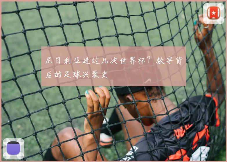 尼日利亚进过几次世界杯?数字背后的足球兴衰史