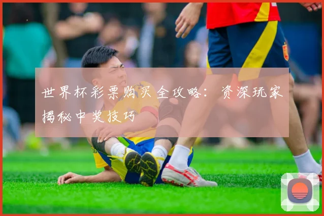 世界杯彩票购买全攻略：资深玩家揭秘中奖技巧
