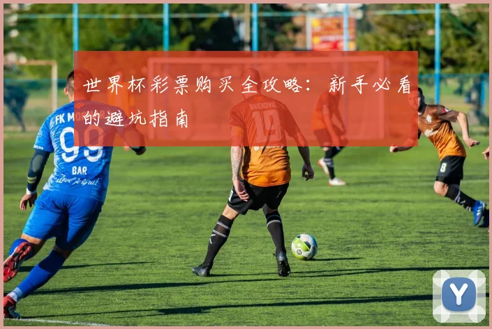 世界杯彩票购买全攻略:新手必看的避坑指南